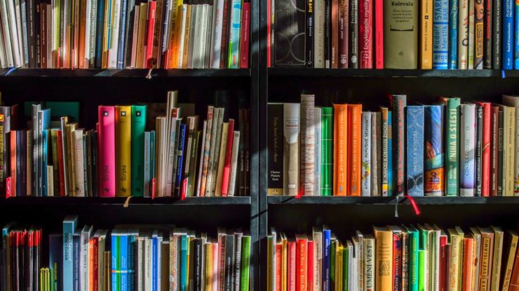 Books on a bookshelf