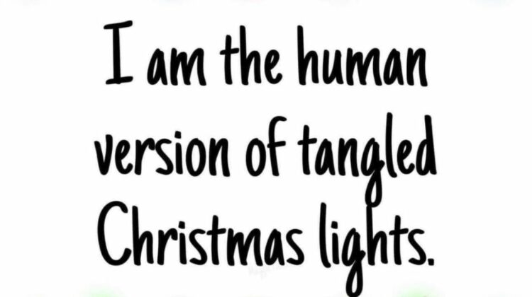 quote "I am the human version of tangled Christmas lights"