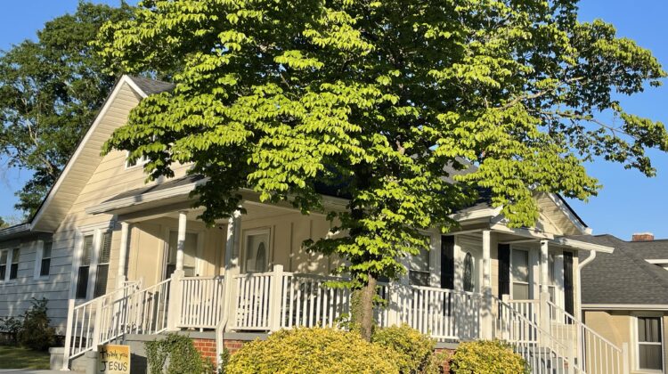 House with a tree