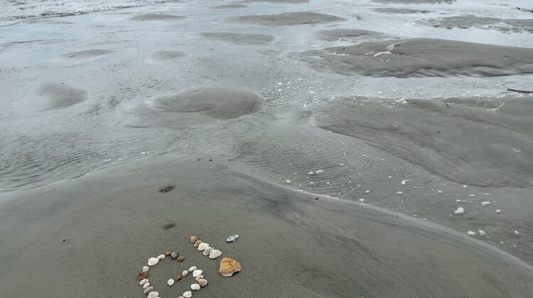 Shells from the letter G on the sand by ocean waves